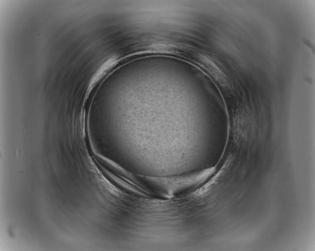 X0000098161180200804171551