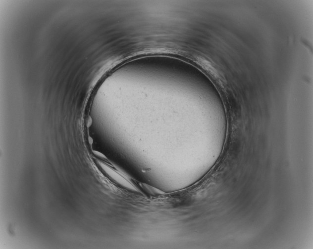 X0000098161181200804171551
