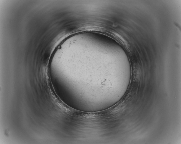 X0000098161182200804171551