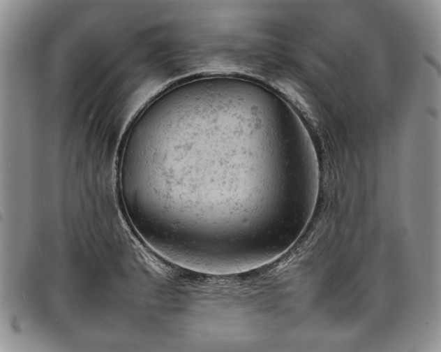 X0000098161183200804171551