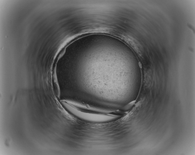 X0000098161184200804171551