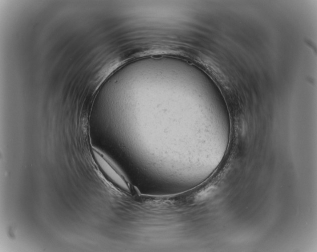 X0000098161185200804171551