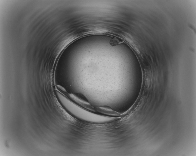 X0000098161186200804171551