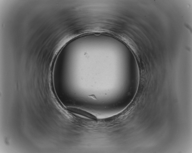 X0000098161187200804171551