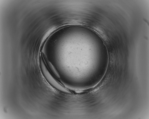 X0000098161188200804171551