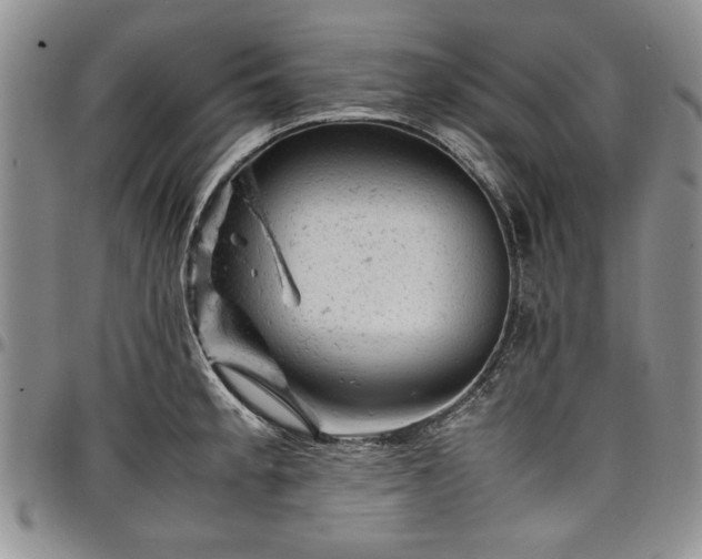 X0000098161189200804171551