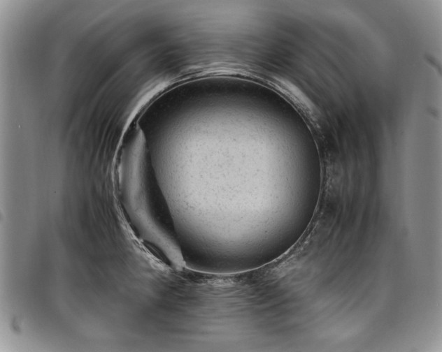 X0000098161190200804171551