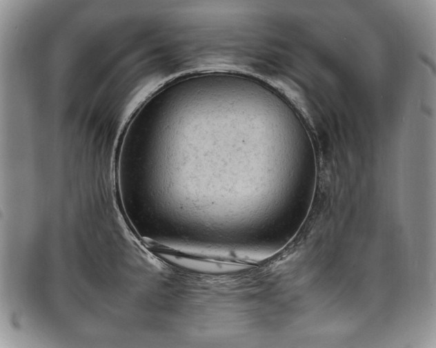X0000098161191200804171551