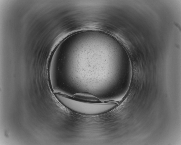 X0000098161192200804171551