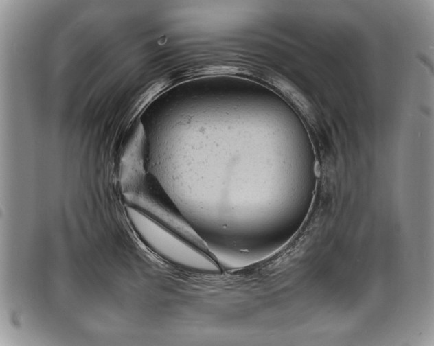 X0000098161193200804171551