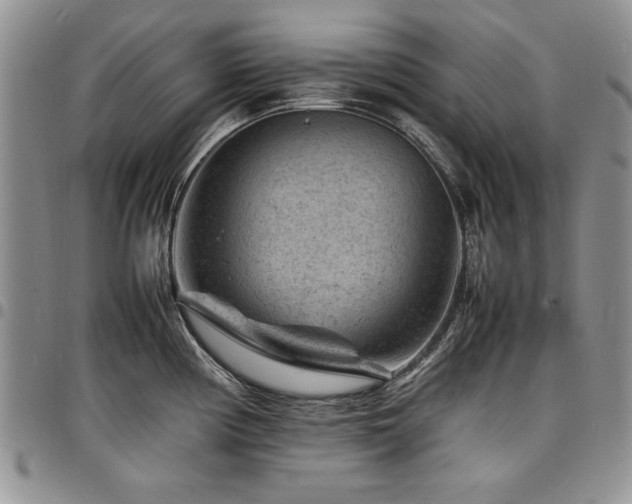 X0000098161194200804171551