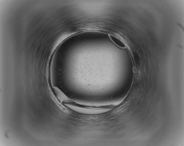 X0000098161195200804171551