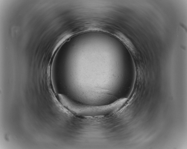 X0000098161198200804171551