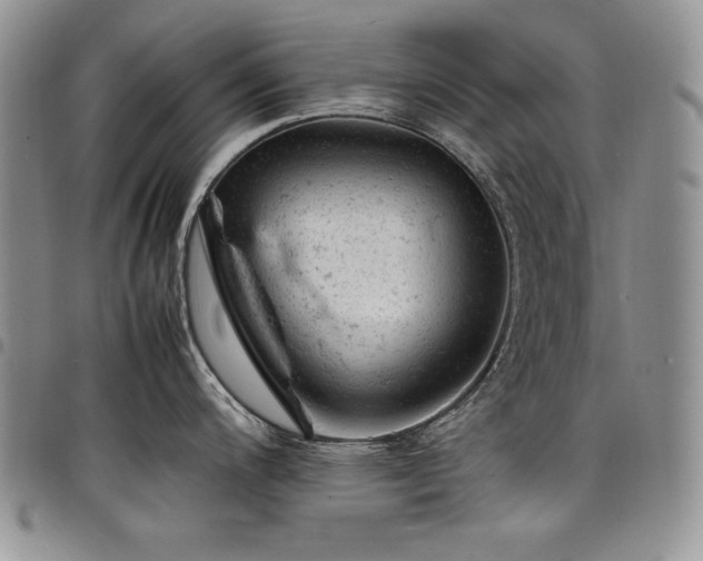 X0000098161200200804171551