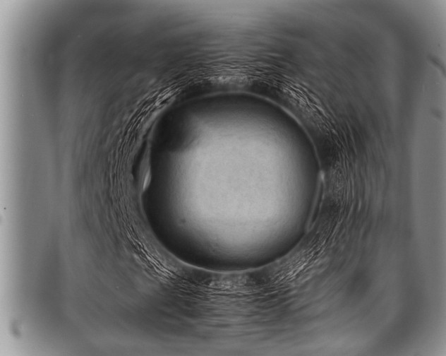 X0000098161201200804171550