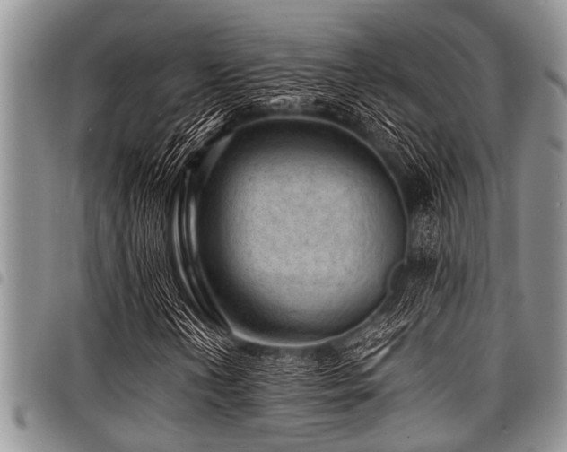 X0000098161202200804171550