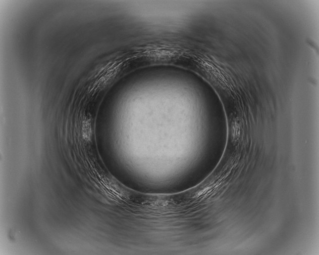 X0000098161204200804171550