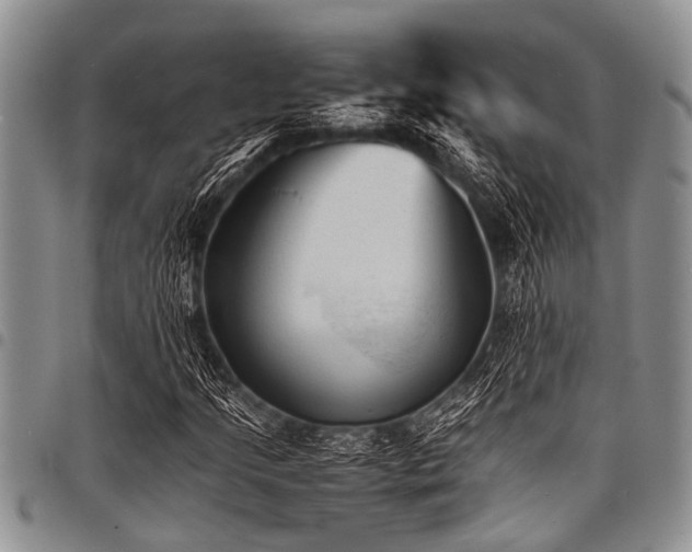 X0000098161205200804171550