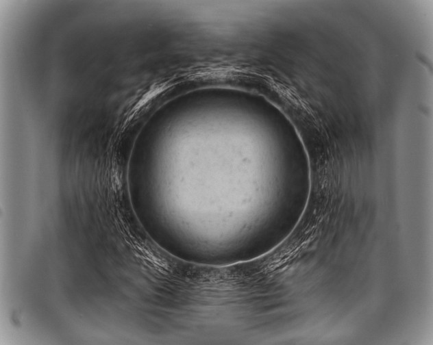 X0000098161206200804171551