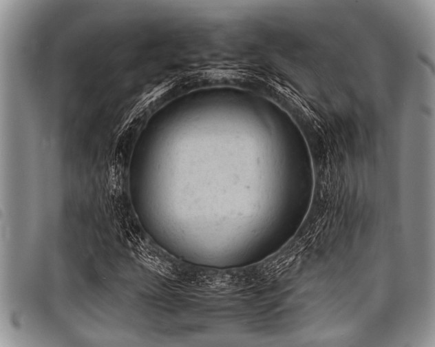 X0000098161207200804171551