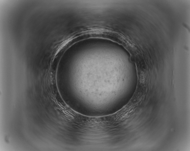 X0000098161208200804171551