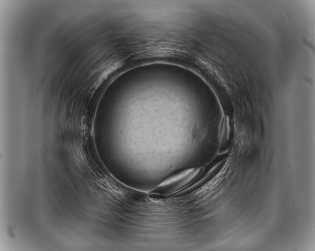X0000098161210200804171551