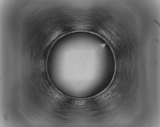 X0000098161211200804171551