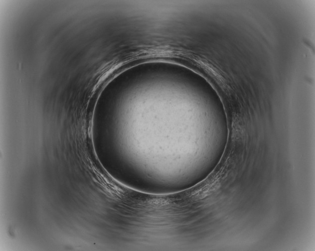 X0000098161212200804171551
