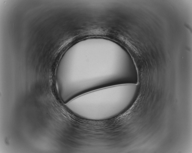 X0000098161213200804171551