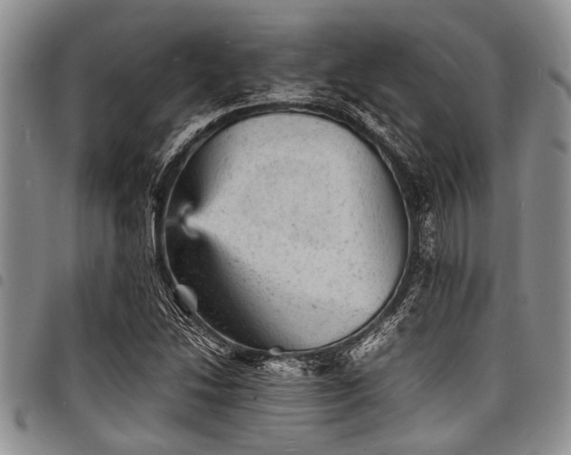 X0000098161214200804171551