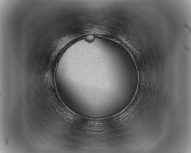 X0000098161215200804171551