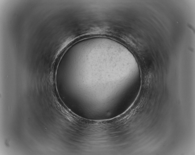 X0000098161216200804171551