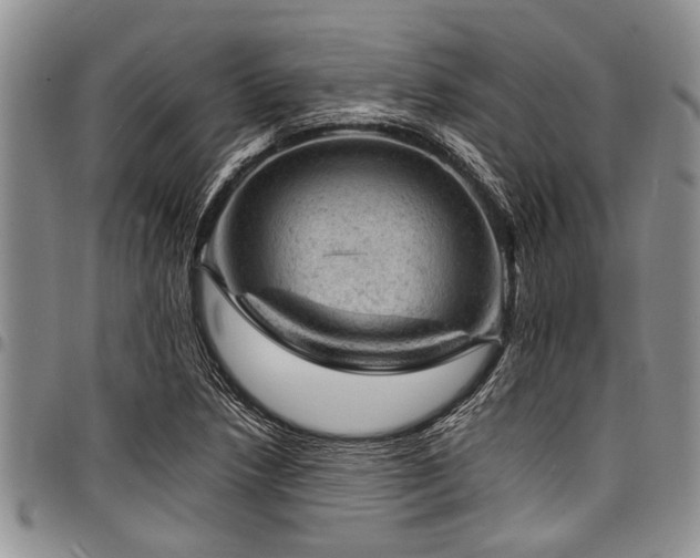 X0000098161218200804171551
