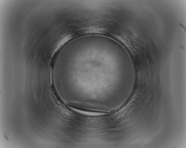 X0000098161219200804171551