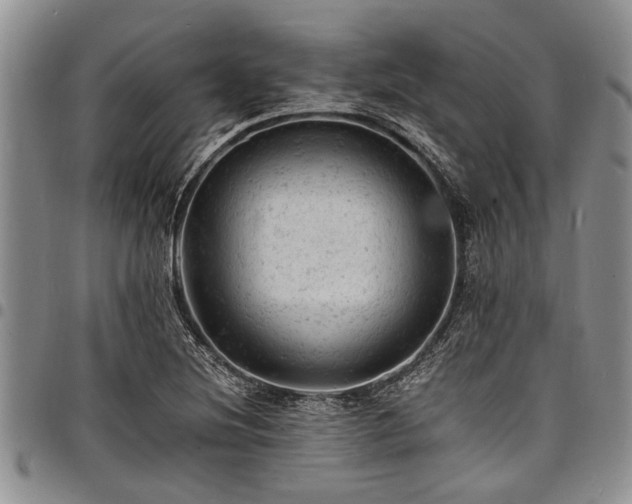 X0000098161220200804171551
