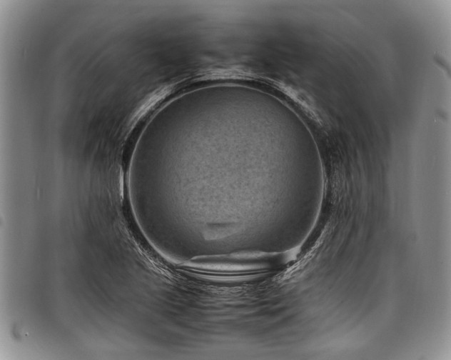 X0000098161221200804171551