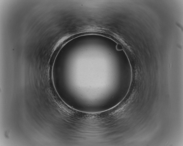 X0000098161222200804171551
