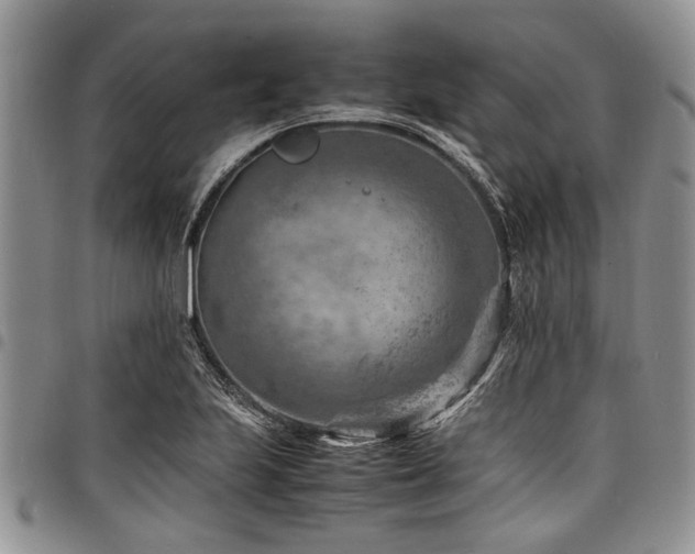 X0000098161223200804171551