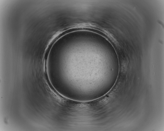 X0000098161224200804171551