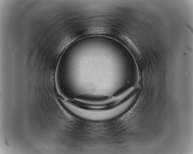X0000098161225200804171551