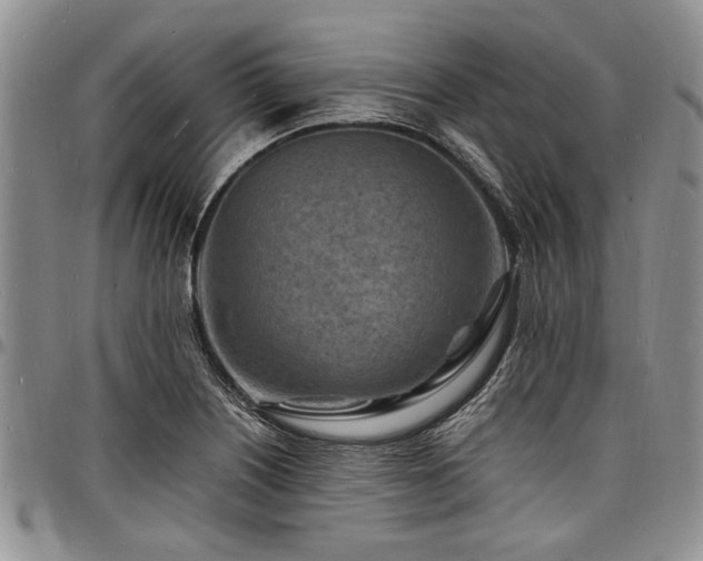 X0000098161226200804171551