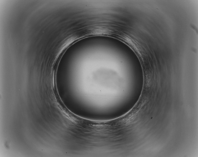 X0000098161227200804171551