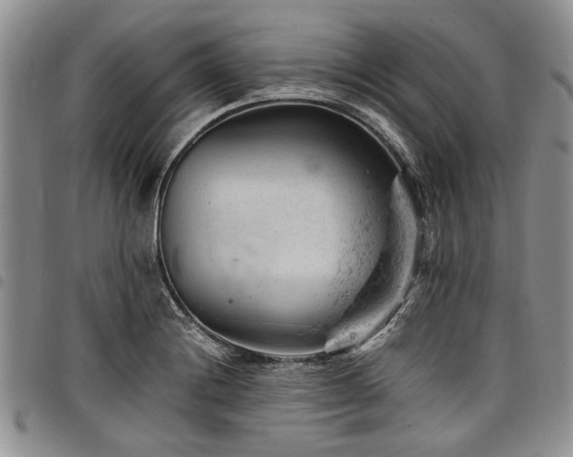 X0000098161228200804171551