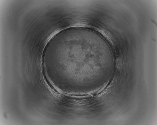 X0000098161229200804171551