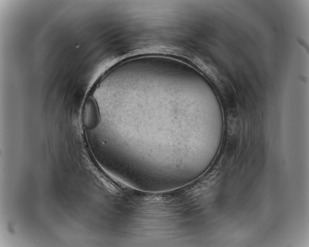 X0000098161230200804171551