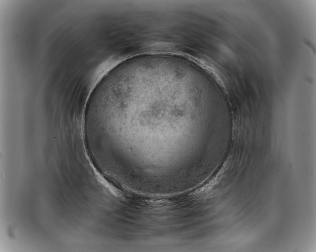 X0000098161231200804171551