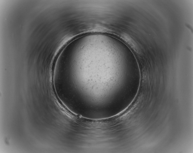 X0000098161232200804171551