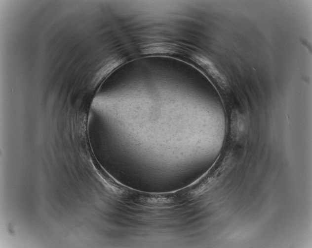X0000098161233200804171551