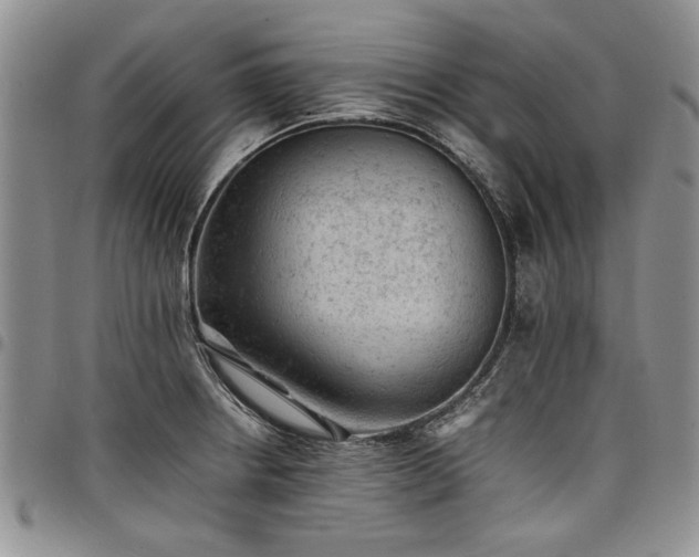 X0000098161234200804171551