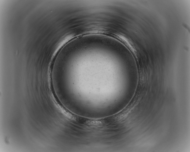 X0000098161235200804171551